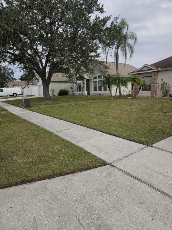 SRV-LANDSCAPE 122723 - Description - Image 7