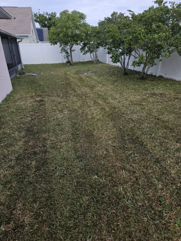 SRV-LANDSCAPE 122723 - Description - Image 11