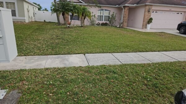 SRV-LANDSCAPE 122723 - Description - Image 2