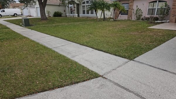 SRV-LANDSCAPE 122723 - Description - Image 3