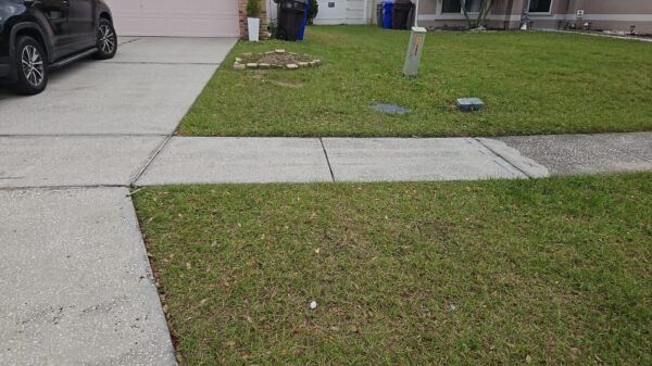 SRV-LANDSCAPE 122723 - Description - Image 4