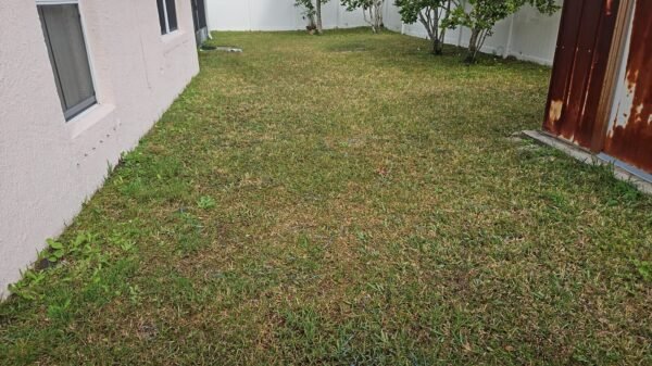 SRV-LANDSCAPE 122723 - Description - Image 5
